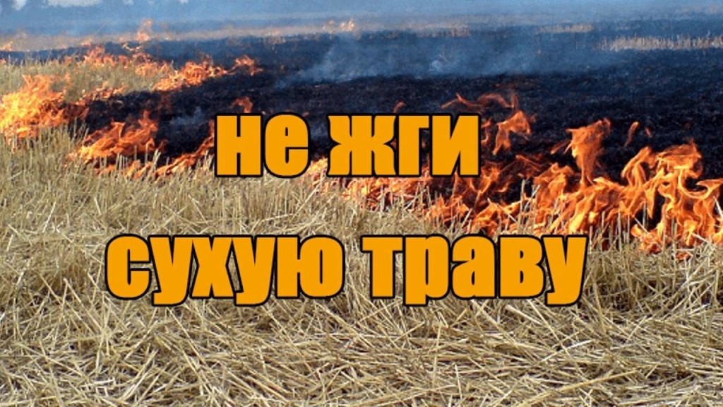 С наступлением теплой весенней погоды сжигать сухую траву и мусор крайне опасно.
