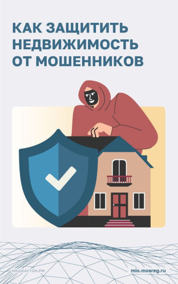 Мошеннические схемы. Мошеннические схемы.