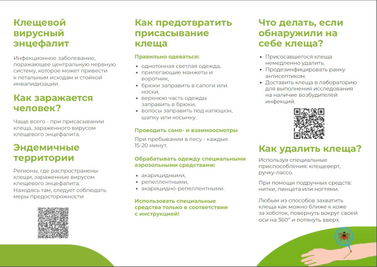 Анонс «горячей линии» по профилактике клещевого энцефалита. Анонс «горячей линии» по профилактике клещевого энцефалита.