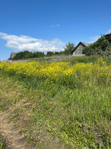 Рейд, направленный на выявление очагов произрастания дикорастущих наркосодержащих растений.